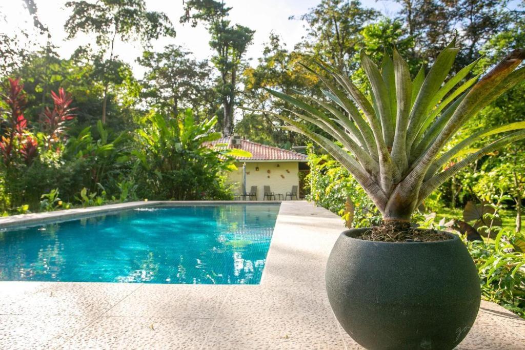 Villa Pina Dorada Dependencia Del Hotel Casa Merlin Puerto Viejo de Talamanca Esterno foto